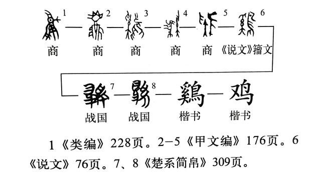 雏字取名的寓意是什么？雏字取名的寓意是什么意思！