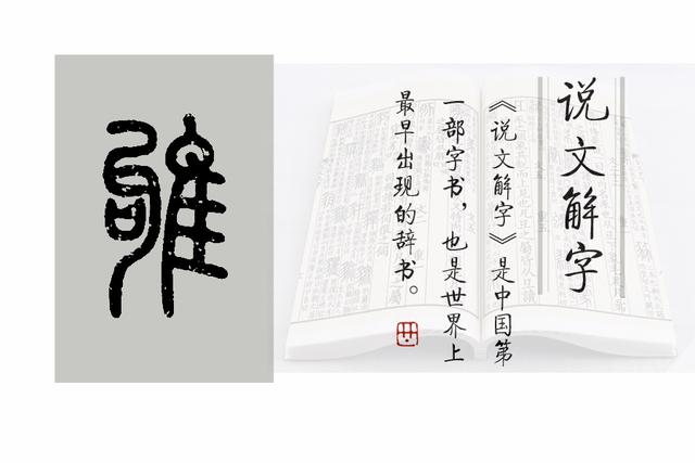 雏字取名的寓意是什么？雏字取名的寓意是什么意思！