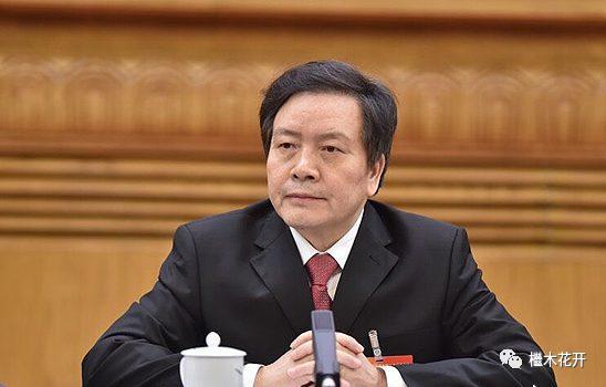 深度剖析_胡彪之子胡雄杰的商业帝国