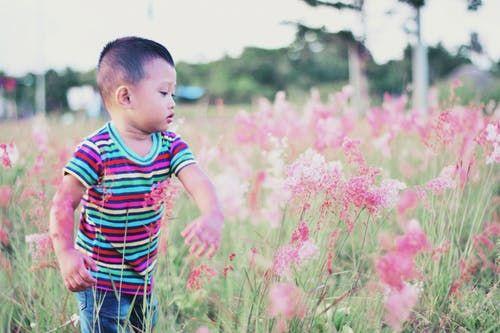 彭字取名的寓意男孩？彭字取名的寓意男孩名字！