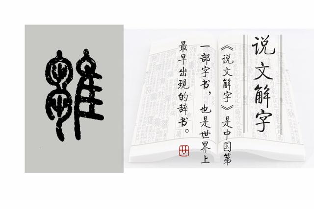 雏字取名的寓意是什么？雏字取名的寓意是什么意思！