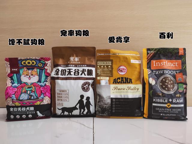 黑色狗狗取什么名字招财（黑色的狗叫什么名字招财）