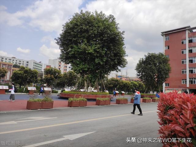 孕妇梦见皇上有什么预兆（梦见皇上有什么预兆佛滔解梦）