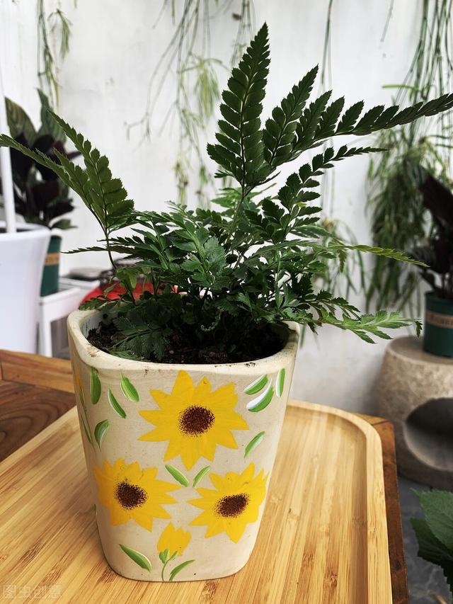 适合在公司用的花名英文（适合在公司用的花名三个字）