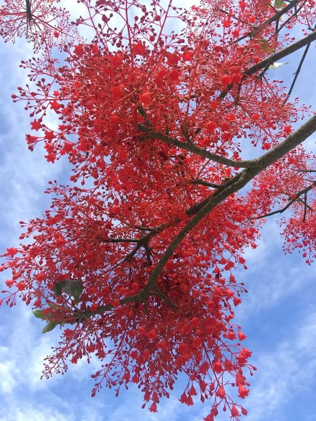 我的梦之旅(14)