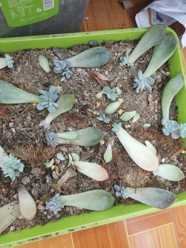 瓷都取名网免费测名打分公司（瓷都取名网免费测名打分五行属水的字）