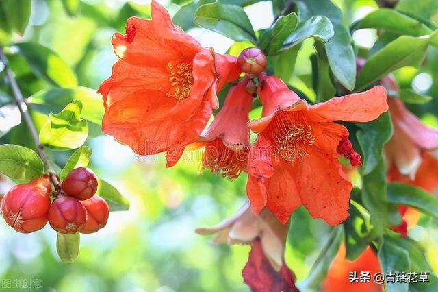 苗圃名称起名大全及含义（适合苗圃的名字）