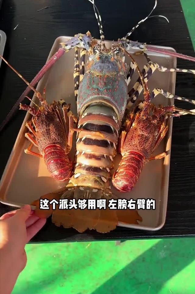 抖音美食博主起名字（抖音美食博主的简介怎么写的）