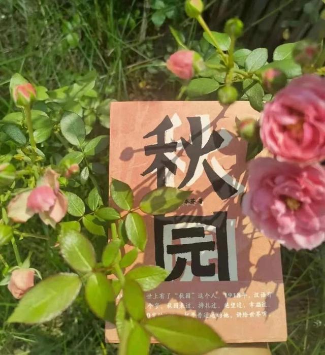 骅字做名字的寓意（骏骅的意思）