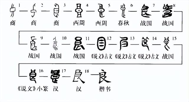 勇字的五行属性是什么_（勇字五行属什么的）