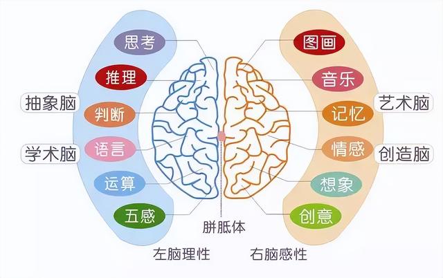 名字分数查询系统（名字分数越高越好吗）