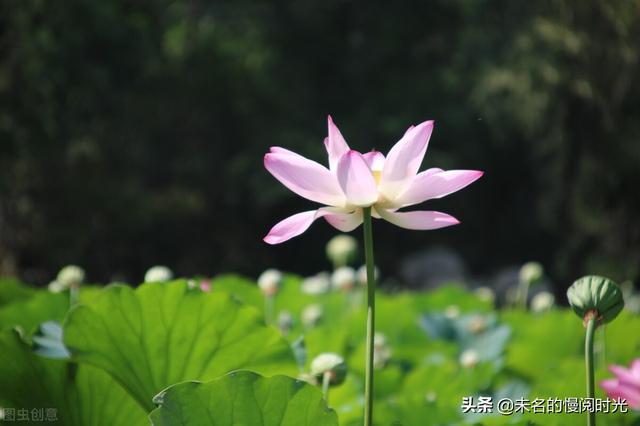 康熙徐志琦哪一期（徐志琦图片）