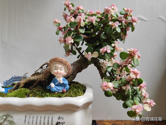 苗圃名称起名大全及含义（适合苗圃的名字）
