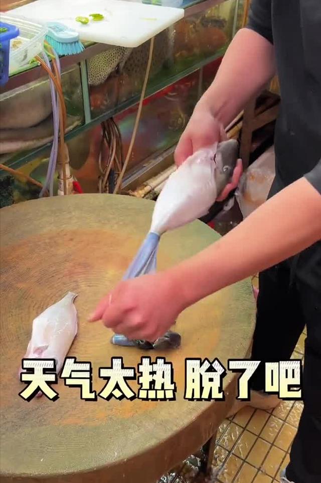 抖音美食博主起名字（抖音美食博主的简介怎么写的）