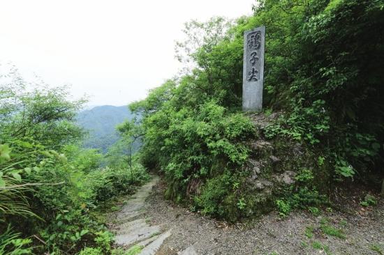 姓陶的女孩名字唯美（陶姓女孩名字100分大全）