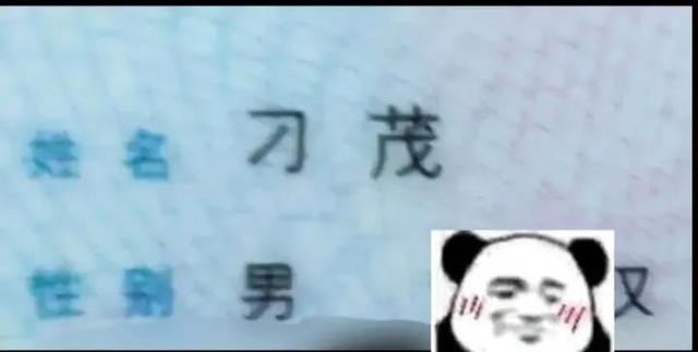 免费自动取名网站有哪些（免费自动取名网址）