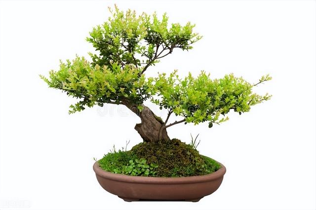 适合在公司用的花名英文（适合在公司用的花名三个字）