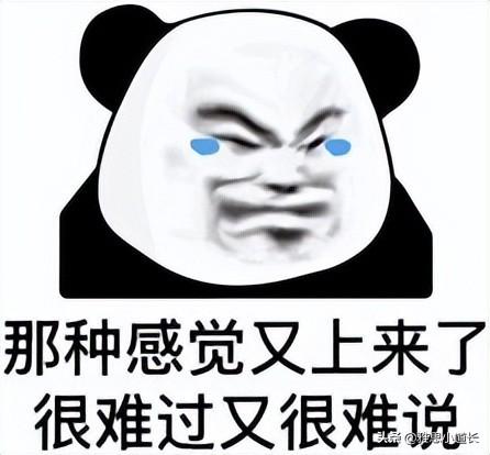 stephanie英文名字意思（Stephanie英文名）