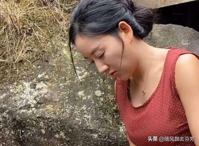 梦见鸭子是什么意思有什么预兆（女人梦见鸭子是什么意思）
