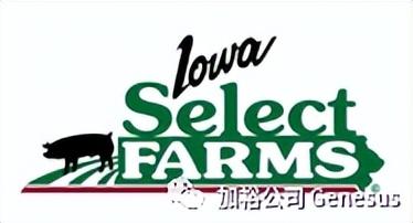 养殖公司取名（畜牧养殖公司起名大全带晨字）