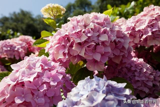 适合在公司用的花名男生（男生在公司用什么花名好）