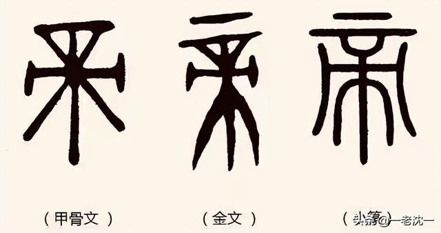建字五行属性是什么（建字的五行属性为什么）