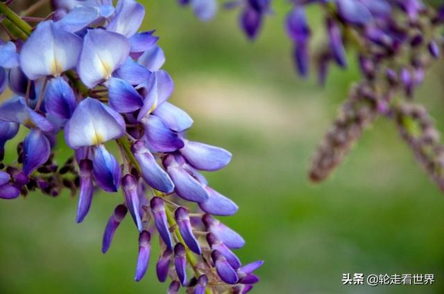 适合在公司用的花名男生（男生在公司用什么花名好）