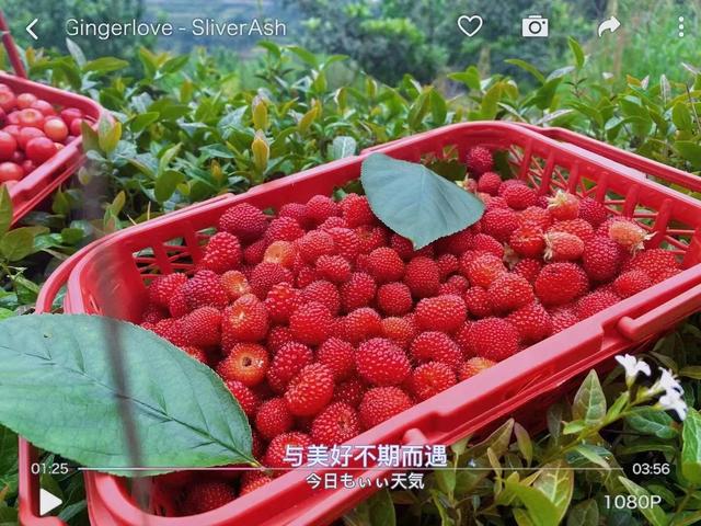 刘姓男孩子的名字大全2022年（姓刘的男孩子取什么名字好2020年）