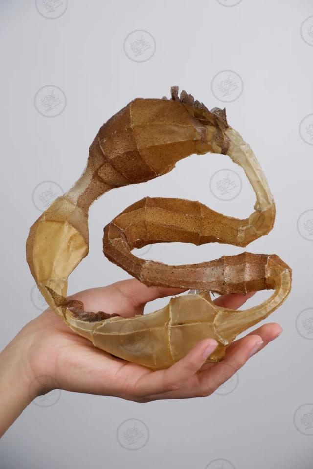 iris这个英文名好吗（iris英文名好吗）