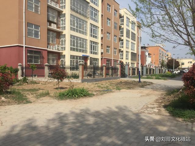 康五行属于什么字（康字五行属什么,有什么意思）