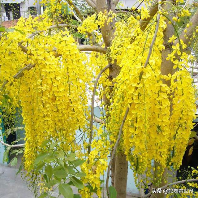 适合在公司用的花名男生（男生在公司用什么花名好）