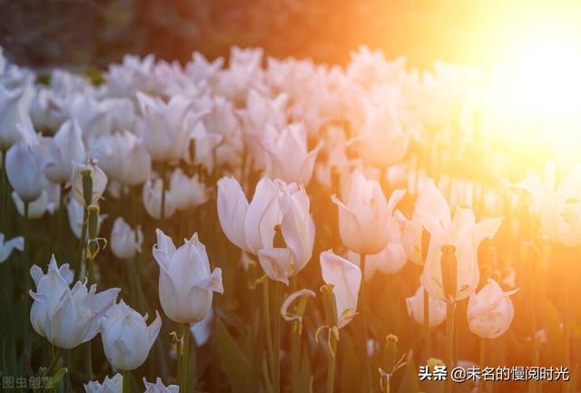 康熙徐志琦哪一期（徐志琦图片）