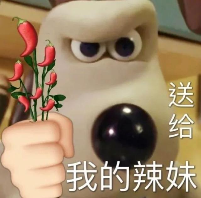 王火火是什么字读什么（王火火是什么字）