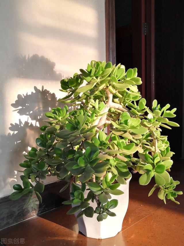 适合在公司用的花名英文（适合在公司用的花名三个字）