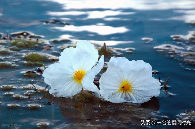 康熙徐志琦哪一期（徐志琦图片）