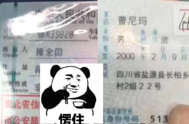 免费自动取名网站有哪些（免费自动取名网址）