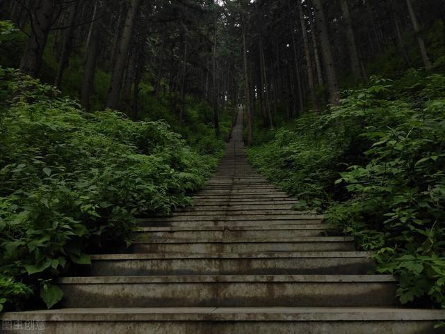 兔的守护神为什么是文殊菩萨（兔的守护神是哪位菩萨）