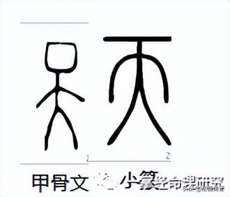 一掌经算命详细方法全书（一掌经算命详细方法,时柱看命,年柱看_）