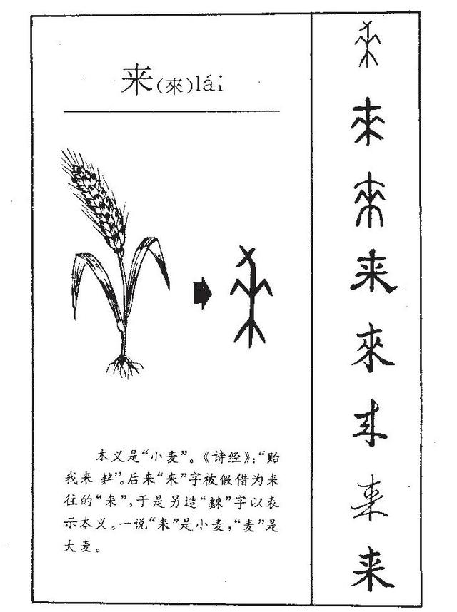 朱这个字在五行中属什么（朱字属于什么五行）
