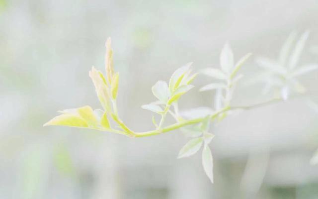 老婆生日快乐简短走心的句子20字（老婆生日快乐简短走心的句子,有点晚了）