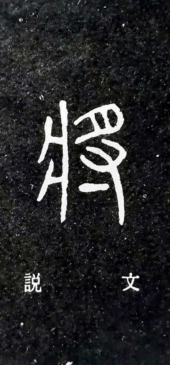 将的意思文言文怎么说（将的文言文解释）