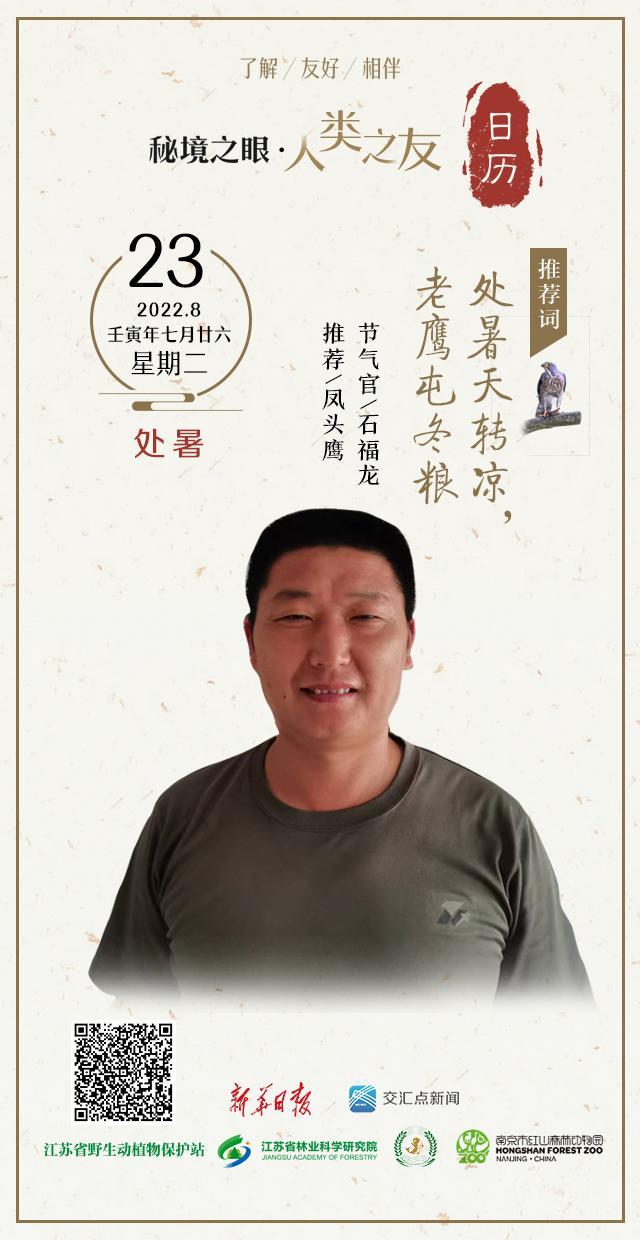 万年历老黄历今天是什么日子（老黄历今天是什么日子查询）