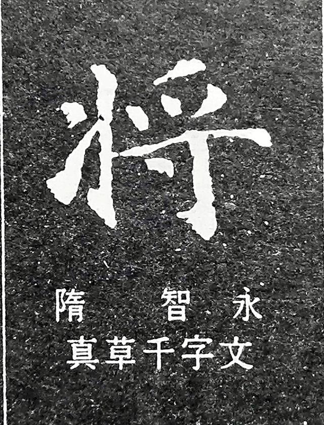 将的意思文言文怎么说（将的文言文解释）