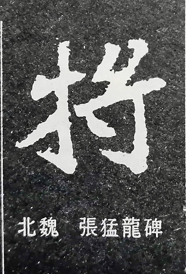 将的意思文言文怎么说（将的文言文解释）