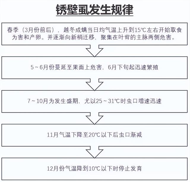 家里蜘蛛用什么药来杀最快又安全（什么药杀死蜘蛛最有效）