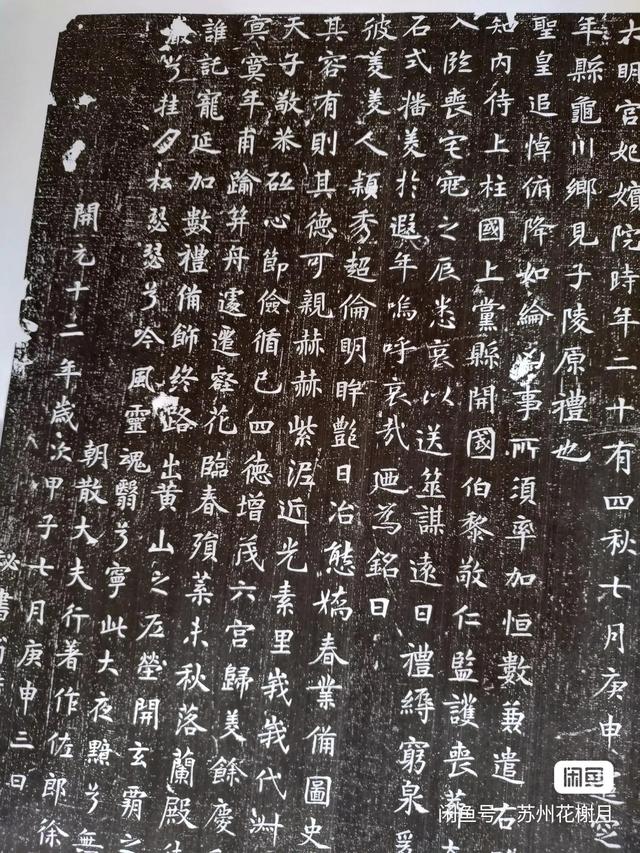 张姓女孩名字大全2022属虎（张姓女孩名字大全2020）