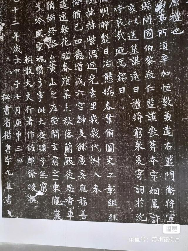 张姓女孩名字大全2022属虎（张姓女孩名字大全2020）