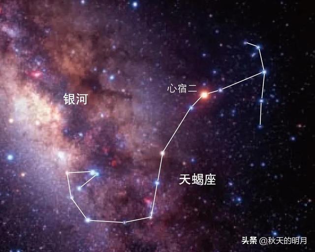 二十八星宿查询表911（二十八星宿查询表值日）