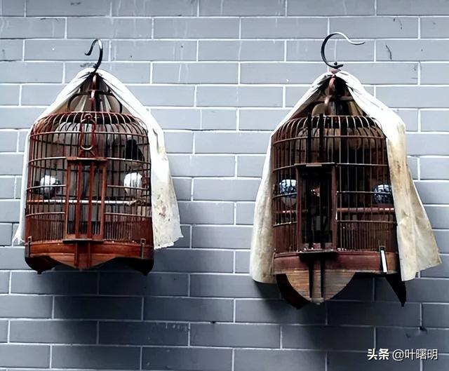 湛姓读音是什么姓（湛姓读音是什么意思）