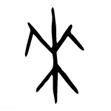 朱这个字在五行中属什么（朱字属于什么五行）